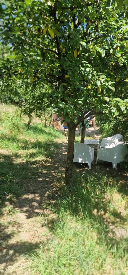 Вилла Casageo Cheile Nerei Socolari Экстерьер фото